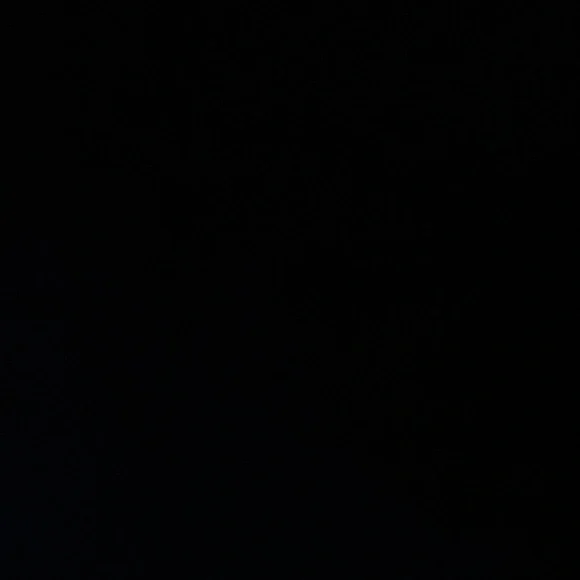 IGNORE - Picture 1 of 1